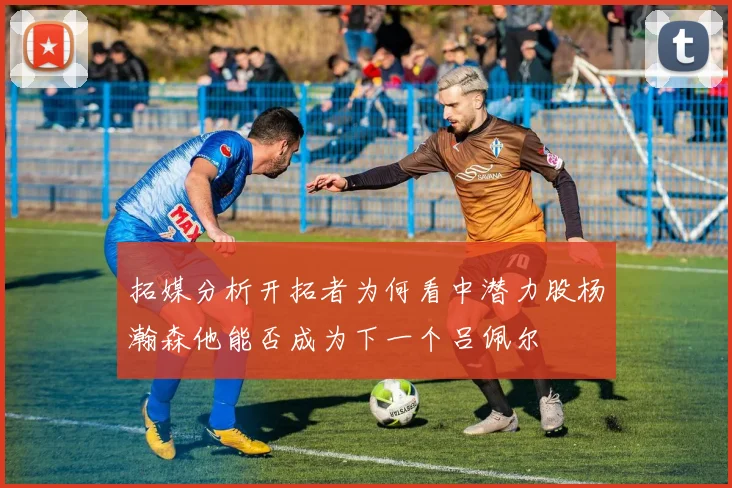 拓媒分析开拓者为何看中潜力股杨瀚森他能否成为下一个吕佩尔